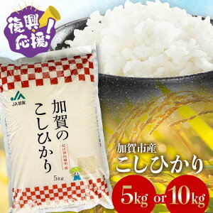 yӂ邳Ɣ[ŁzyIׂzz  Ђ 5kg 10kg  ߘa7NY s\10珇    Mtg 蕨 O Hi  k Ri \onk 