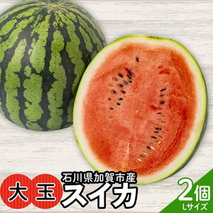 yӂ邳Ɣ[Łzys\zl䂳̊ÂIʃXCJ@ΐ쌧sY XCJ Z fU[g t[c ʕ F6P-2624