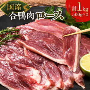 yӂ邳Ɣ[ŁzY ނ [X 500g×2 [X p ؂Ηp Ԃ wV[ Ⓚ F6P-2791