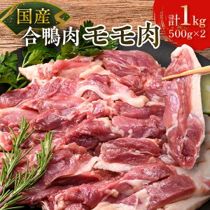 yӂ邳Ɣ[ŁzY  500g×2  p Xe[Lp wV[ Ⓚ F6P-2792