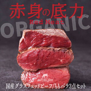 yӂ邳Ɣ[ŁzYOXtFbgr[t o3_Zbgi200g×3܁j Ԑg Ԑg o[xL[ BBQ Ă  r[t N F6P-2933