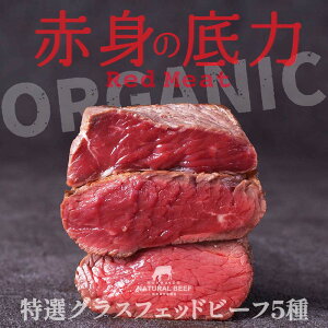 yӂ邳Ɣ[ŁzYOXtFbhr[t Ilߍ킹  Ԑg Ԑg o[xL[ BBQ Ă  r[t N F6P-2934