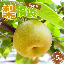 【ふるさと納税】【訳あり】梨 福袋 5kg 旬の品種を1品種お届け くだもの 果物 フルーツ ご当地 食品 幸水 豊水 あきづき 新高 新興 愛宕 F6P-2945