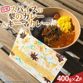 【ふるさと納税】【みちに八角】特製スパイスの梨のカレー＆キーマカレー 2P（2食分×2袋入り） カレー カレーライス スパイス キーマ 食品 F6P-3126