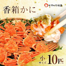【ふるさと納税】【時期が選べる】【先行予約】【冷蔵発送】石川県産 香箱蟹 せいこ 小サイズ 10匹 詰合せ 浜茹で 産地直送 ズワイガニ ずわいがに ずわい蟹の雌 先行予約 予約 せいこ 蟹 かに グルメ 海産物 海の幸 食品 F6P-2052