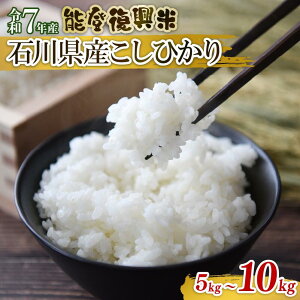 yӂ邳Ɣ[Łz s\  Ђ ߘa7NY Iׂ  5kg 10kg ΐ쌧Y \o Pi \o  _ V \ ΐ쌧Y \o GR ͔|  R  2025NY   