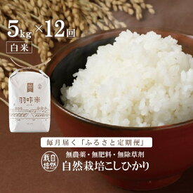 楽天市場 ふるさと納税定期便 無農薬米の通販