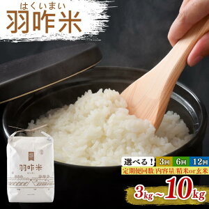 yӂ邳Ɣ[Łz Vė\ s\ ߘa7NY Ђ H R͔| Iׂ   10kg 5kg 3kg Pi  12 6 3 \o  ċ Iׂ    D R7 