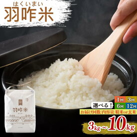 【ふるさと納税】 12月以降発送開始 新米 単品 定期便 選べる 新米予約 令和7年産 こしひかり 羽咋米 自然栽培米 玄米 白米 10kg 5kg 3kg 単品 定期便 12回 6回 3回 能登 こだわり 精米具合 選べる 数量 限定 環境 R7 お米 米 こめ 能登 石川 はくい 復興支援 災害 支援