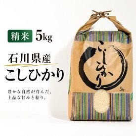 【ふるさと納税】 精米 5kg 単品 令和7年産 こしひかり 米 5キロ 令和7年産 / 石川県産 単品 能登 米 石川県産 白米 米 コメ お米 おこめ 2025年産 精米 ごはん うま コシヒカリ | 令和7年 能登 石川県 石川 羽咋 能登 復興支援 災害支援 ふるさと納税お米