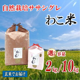 【ふるさと納税】 【新米予約】 米 玄米 お米 10kg 2kg ササシグレ / 自然栽培 幻 お米 自然栽培米 令和8年産 数量限定 わこ米 米 コシヒカリ 甘み ふるさと納税米 コメ こめ ごはん こだわり 石川県 石川 ｜ 羽咋 トキ 放鳥 朱鷺 能登 復興支援 災害支援