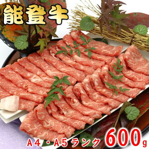 yӂ邳Ɣ[Łz јa [X Ă 600g A4 - A5 N \o 0.6kg I ʏ   Mtg   Y  [X ~ 痿 uh uh ̓  Ε 