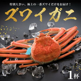 【ふるさと納税】【 姫丸 の プレミアム 蟹 】 1 - 3月 配送 1番ズワイ 茹で上げ後 約 1.1kg 以上 × 1杯