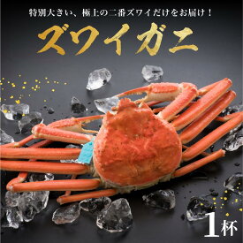 【ふるさと納税】 【 姫丸 の 二番 ズワイガニ 】 11 - 12月 配送 1 - 3月 配送 2番ズワイ 茹で上げ後 約 900g × 1杯