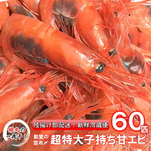 yӂ邳Ɣ[Łz   ÃGr q ① 60C zY nꂽ H hg VՂ X` ɂ VN I 傫 ܂ L Gr CV  z z  | Â Nx
