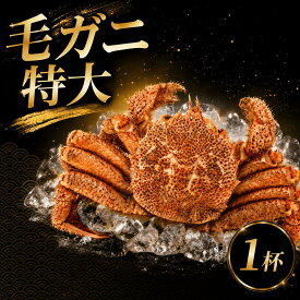 【ふるさと納税】 【 姫丸 の 毛ガニ ・ 特大 茹で上げ 800g ～ 900g 1杯 】 9月 - 10月 配送
