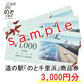 【ふるさと納税】[G047] 道の駅のと千里浜オリジナル商品券（3,000円）