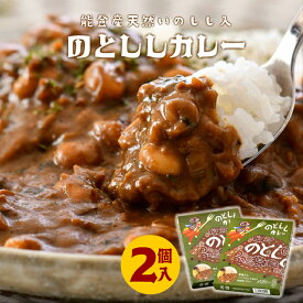 【ふるさと納税】 ジビエ カレー 180g 2個 レトルト食品 レトルトカレー 能登産 猪肉 簡単 調理 手軽 アウトドア キャンプ 天然 いのしし 猪 しし肉 パウチ 便利 長期保存 備蓄 災害 対策 のと 千里浜 道の駅 人気 石川 能登 羽咋 災害支援 復興支援 応援 災害復興 1万円以下