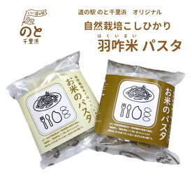 【ふるさと納税】 米粉 パスタ 麺 2種類 計4袋 白米 玄米 麺 詰め合わせ 計480g 4袋 米 使用 能登 こだわり めん 自然栽培 米 こしひかり 2種 4食 羽咋米 米粉 石川県産 国産 コシヒカリ 詰合せ 米粉 こめ パスタ 麺 スパゲッティ イタリアン 料理 石川 羽咋 5000円 五千円