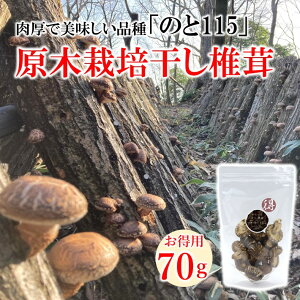 yӂ邳Ɣ[Łz   70g  ͔|  uh ő  ^ ̂115    o` | | ϕ uߕ  X` ݂` X` ݂`  k ΐ \