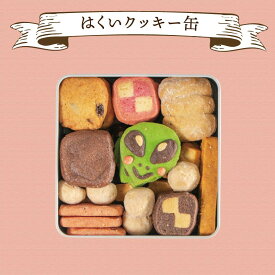 【ふるさと納税】 宇宙人 クッキー缶 （10種 48枚）≪焼き菓子 詰め合わせ ギフト プレゼント かわいい≫ アソート 個性派 お菓子 おかし スイーツ いちご チョコ レーズン バナナ チーズ スノーボールクッキー 石川 能登 羽咋 災害 支援 復興支援 災害支援 【父の日】
