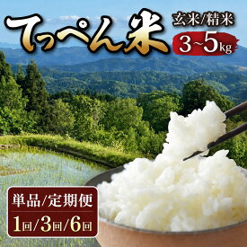 【ふるさと納税】 令和8年産 新米 コシヒカリ 精米 玄米 米 5kg 3kg / 先行予約 新米予約 選べる 定期便 6回 3回 こしひかり 神子原 てっぺん米 ふるさと納税 米 5kg 定期便 甘み ご飯 ごはん おにぎり | 石川県 石川 能登 羽咋 トキ 放鳥 朱鷺 支援 応援 お米 白米