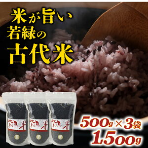 yӂ邳Ɣ[ŁzΎY Ñ 500g × 3 v1.5kg /      Y h{ AgVAj 퉷 G  