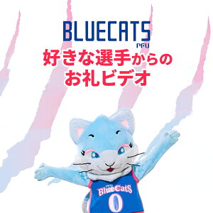 �y�ӂ邳�Ɣ[�Łz�yPFU�u���[�L���b�c�ΐ삩�ق��z�D���ȑI�肩��̂���r�f�I |���蓮�� �I�胁�b�Z�[�W ������ �I�胁�b�Z�[�W �X�|�[�c ���� ���� ������T �I���W�i������