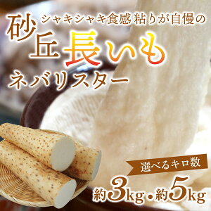 yӂ邳Ɣ[Łzy\onkxz2025Nns\ u  ƂuloX^[vIׂe 3kg 5kg ΐ쌧 Yi \o  