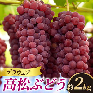 yӂ邳Ɣ[Łzys\zԂǂ fEFA 2kgi悻9`10[j 1y2026Nnzy\onkxz b fEGA fEFA Ԃǂ uhE  t[c ʕ