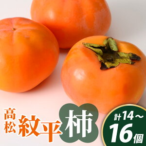 yӂ邳Ɣ[Łzy\onkxz䕽` 1 2025Nn s\| `  JL t[c ʕ  { Â   
