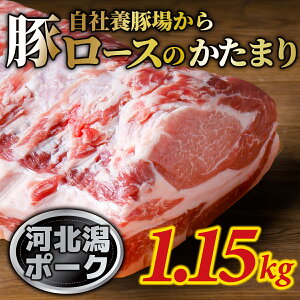 yӂ邳Ɣ[Łz͖k|[N 1.150O | 1.15kg ubN IĂ 1.15L ؂̊p uh Y Ƃ񂩂 geL Xe[L ܂ ① 