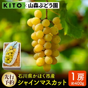 yӂ邳Ɣ[Łzys\ ߘa8NYzuVC}XJbgv400g×1[ ΐ쌧قsYy2026N8{菇\z|t[c ʕ Ԃǂ uhE ΐ쌧 ʌ 400O RX