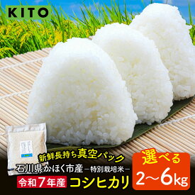 【ふるさと納税】【先行予約 令和7年産】【選べる容量】石川県かほく市産 こしひかり 2kg～6kg 特別栽培米【2025年10月より順次発送】| KITO 新米 コシヒカリ 小分け 精米 白米 お米 こめ コメ 2キロ 6キロ 単一原料米 国産 食品 常温 ご飯 お取り寄せ 送料無料