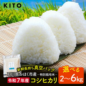 yӂ邳Ɣ[Łzys\ ߘa7NYzyIׂeʁzΐ쌧قsY Ђ 2kg`6kg ʍ͔|āy2025N10菇z| KITO V RVqJ      R 2