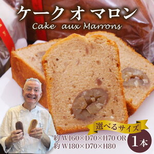 yӂ邳Ɣ[ŁzyIׂTCYzCake aux Marrons P[N I } 1{ `{̃t`VFtpeBVG[` / }  I  XC[c ① 퉷 َq Ăَq mَq