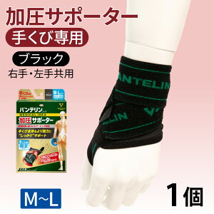 yӂ邳Ɣ[Łzoe R[T|[^[ 肭ѐp ӂ`傫߃TCYiM`LjubN 1