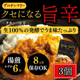 【ふるさと納税】発酵スパイスカレー3個 ★5種のスパイスと白山麓のW発酵 芳醇な香り&クセになる旨辛 グルテンフリー【配送不可地域：離島】【1376651】