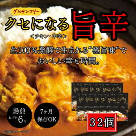 【ふるさと納税】発酵スパイスカレー32個 ★生100%の発酵の力で生まれる「極旨味」でクセになる旨辛 グルテンフリー【配送不可地域：離島】【1586920】