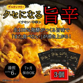 【ふるさと納税】発酵スパイスカレー3個 ★5種のスパイスと白山麓のW発酵 芳醇な香り&クセになる旨辛 グルテンフリー【配送不可地域：離島】【1376651】