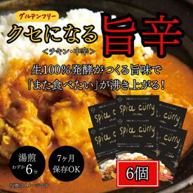 【ふるさと納税】発酵スパイスカレー6個 ★5種のスパイスと白山麓のW発酵 芳醇な香り&クセになる旨辛 グルテンフリー【配送不可地域：離島】【1376653】