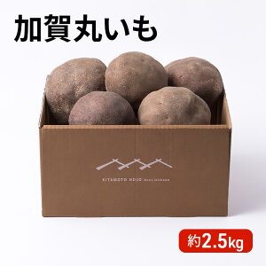 yӂ邳Ɣ[Łzߘa7NxY ۂ 2.5kg@͂F2025N11{`2026N1܂