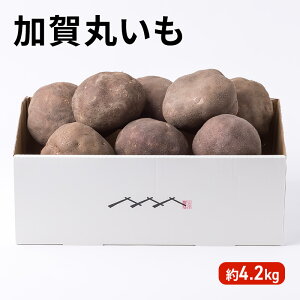 yӂ邳Ɣ[Łzߘa7NxY ۂ 4.2kg @͂F2025N11{`2026N1܂