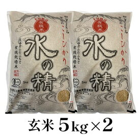 【ふるさと納税】有機米こしひかり「水の精」玄米5kg×2個　【お米・コシヒカリ・石川県産】