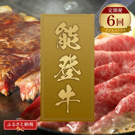 【ふるさと納税】肉【和牛セレブ】能登牛 定期便「ビジネスクラス」全6回 特選 しゃぶしゃぶ すき焼き 焼肉 ステーキ ギフト 石川県 能美市