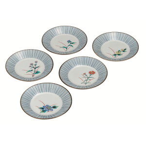 yӂ邳Ɣ[ŁzJ 5.2MEܑ(5g)