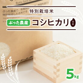 【ふるさと納税】特別栽培米ぶった農産コシヒカリ(白米5kg)【1207813】