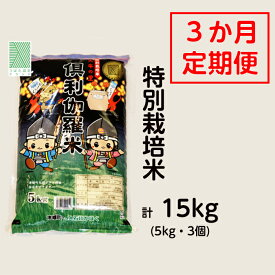 【ふるさと納税】特別栽培米　火牛の里「倶利伽羅米」（5kg）定期便3回