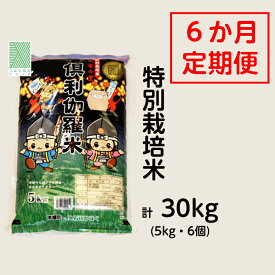 【ふるさと納税】特別栽培米　火牛の里「倶利伽羅米」（5kg）定期便6回