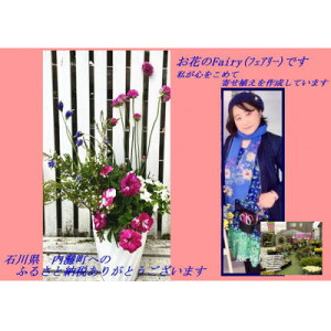yӂ邳Ɣ[ŁzubL[Ȋ񂹐Av1y1603720z